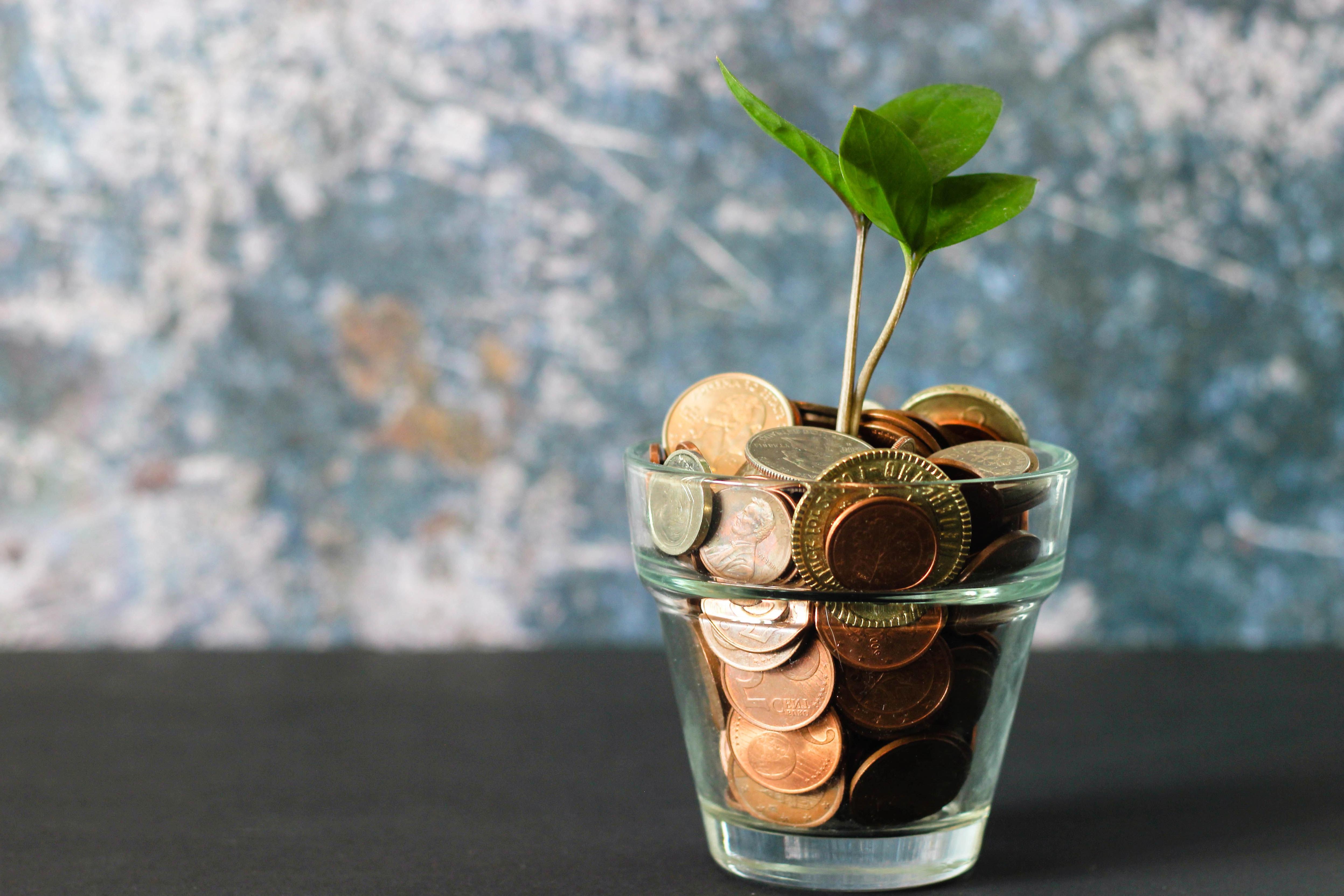 Small plant growing our of a clear glass jar with various coins in it.